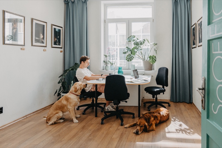 SoOffice